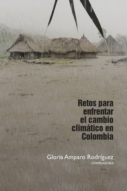Retos para enfrentar el cambio climático en Colombia, Gloria Amparo Rodríguez