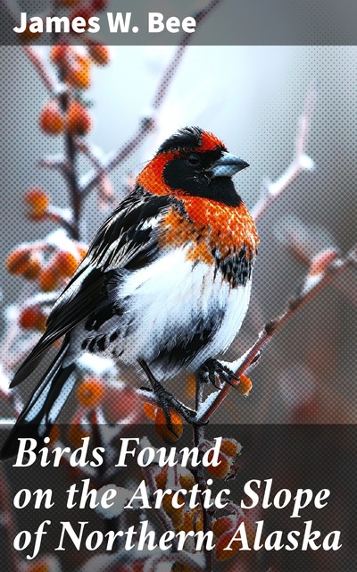 Birds Found on the Arctic Slope of Northern Alaska, James W.Bee