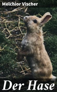 Der Hase, Melchior Vischer