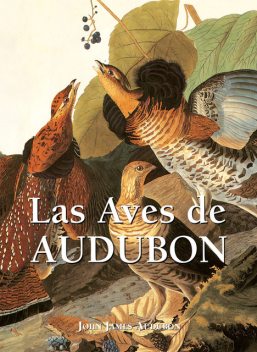 Las Aves de Audubon, John James Audubon