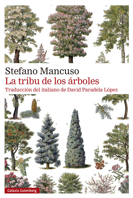 La tribu de los árboles, Stefano Mancuso