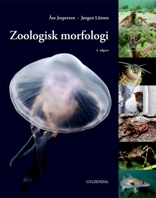 Zoologisk morfologi, Jørgen Lützen, Åse Jespersen