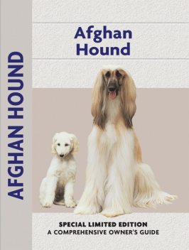 Afghan Hound, Bryony Harcourt-Brown