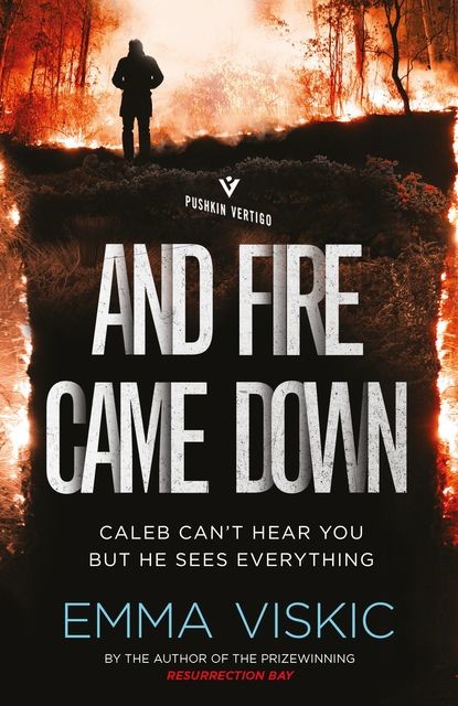 And Fire Came Down, Emma Viskic