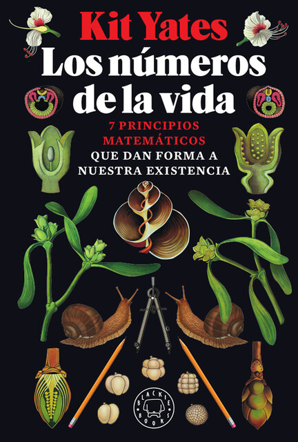 Los números de la vida, Kit Yates
