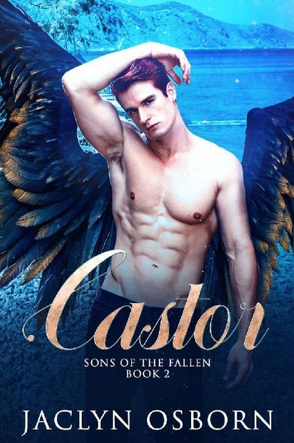 Castor (Sons of the Fallen Book 2), Jaclyn Osborn