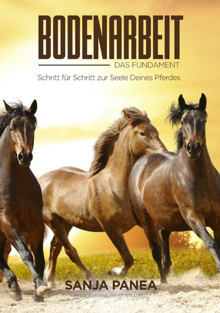 Bodenarbeit – Das Fundament, Sanja Panea