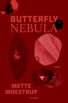 Butterfly Nebula, Mette Moestrup