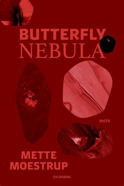 Butterfly Nebula, Mette Moestrup