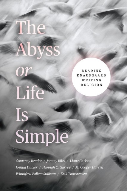 The Abyss or Life Is Simple, JEREMY BILES, Liane Carlson, Joshua Dubler, Courtney Bender