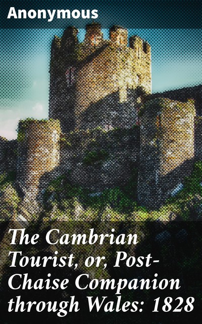 The Cambrian Tourist, or, Post-Chaise Companion through Wales: 1828, 