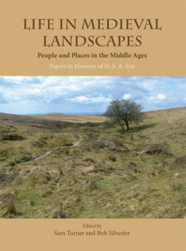 Life in Medieval Landscapes, Sam Turner, Bob Silvester