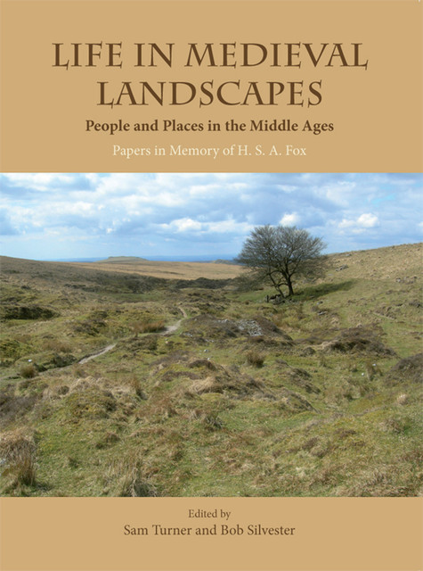Life in Medieval Landscapes, Sam Turner, Bob Silvester
