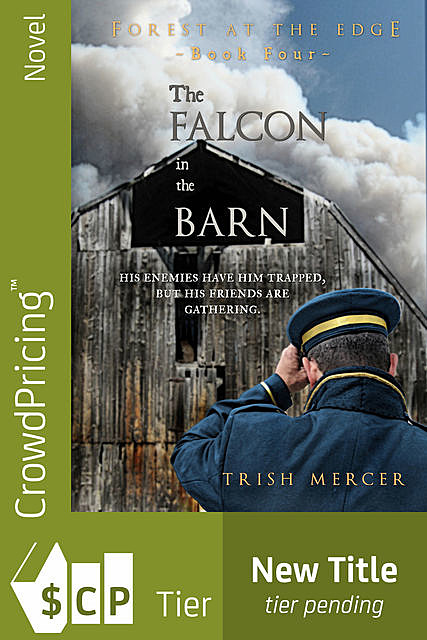 The Falcon in the Barn, Trish Mercer