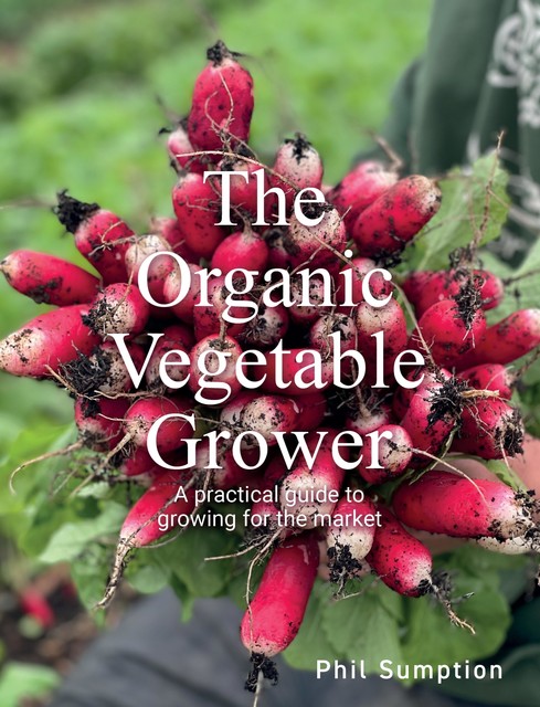 Organic Vegetable Grower, Phil Sumption
