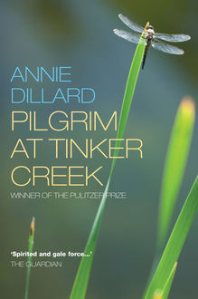 Pilgrim at Tinker Creek, Annie Dillard