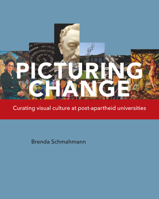 Picturing Change, Brenda Schmahmann