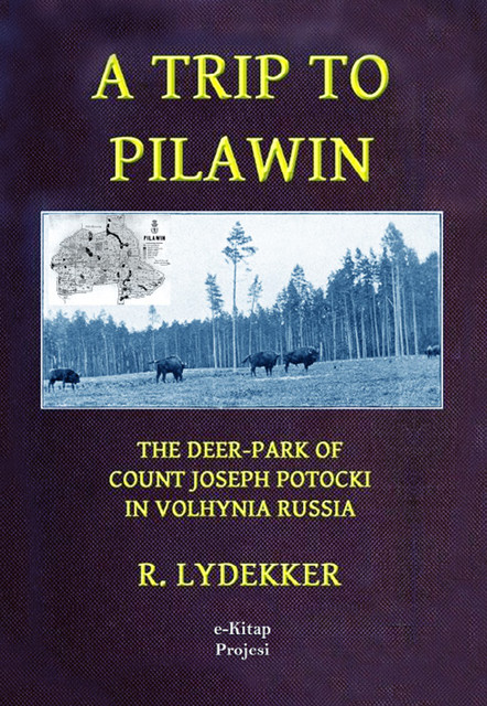 A Trip to Pilawin, the Deer-park of Count Joseph Potocki in Volhynia, Russia, Richard Lydekker