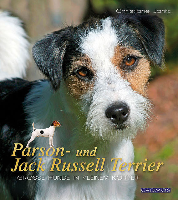 Parson- und Jack Russell Terrier, Christiane Jantz