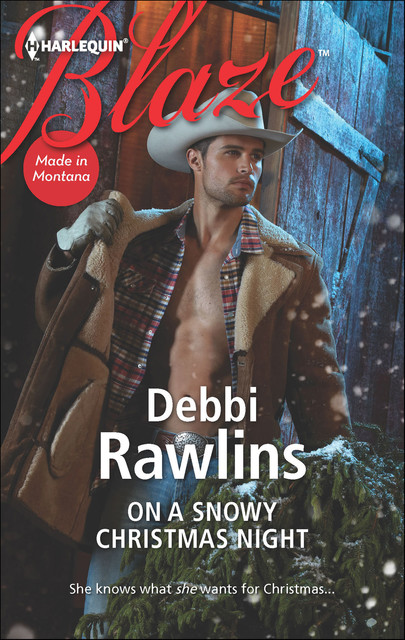 On a Snowy Christmas Night, Debbi Rawlins