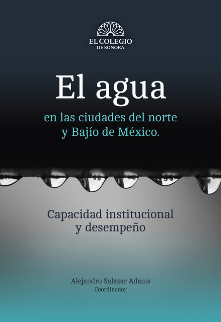 El agua en las ciudades del norte y Bajío de México : capacidad institucional y desempeño, Alejandro Salazar Adams