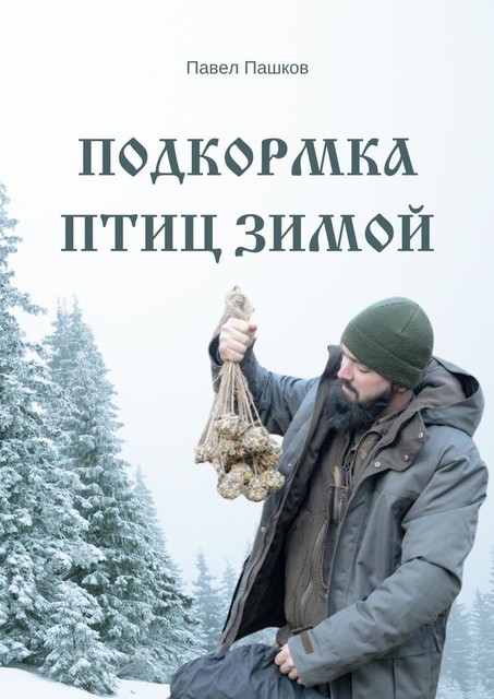Подкормка птиц зимой, Павел Пашков
