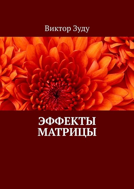 Эффекты матрицы, Виктор Зуду