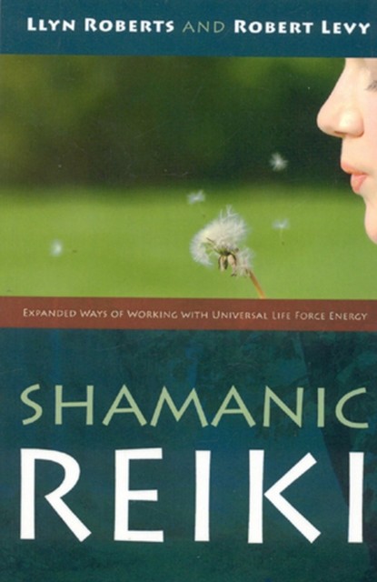 Shamanic Reiki: Expanded Ways Of Working, Llyn Roberts