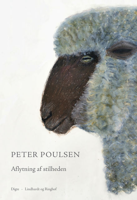 Aflytning af stilheden, Peter Poulsen