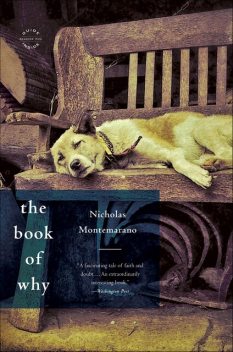 The Book of Why, Nicholas Montemarano