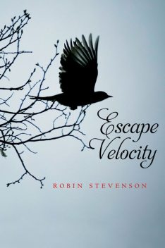 Escape Velocity, Robin Stevenson
