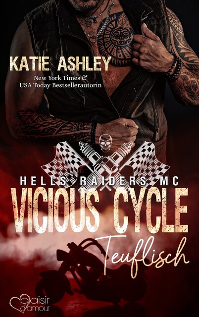 Hells Raiders MC Teil 1: Vicious Cycle – Teuflisch, Katie Ashley