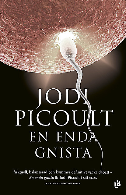 En enda gnista, Jodi Picoult
