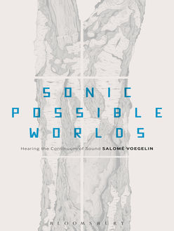 Sonic Possible Worlds, Salome Voegelin