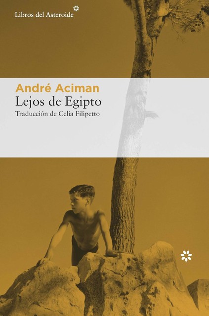 Lejos de Egipto, Andre Aciman