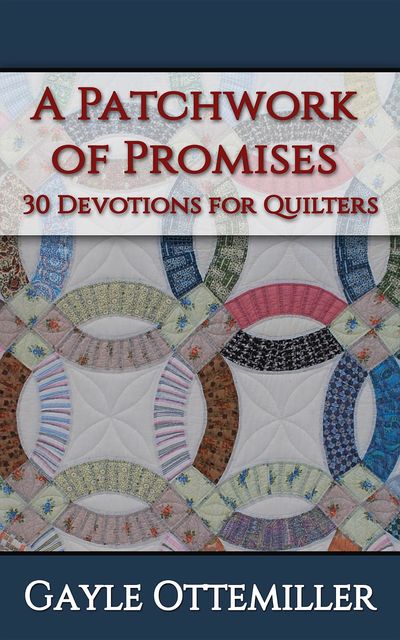 A Patchwork of Promises, Gayle C. Ottemiller