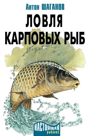Ловля карповых рыб, Антон Шаганов