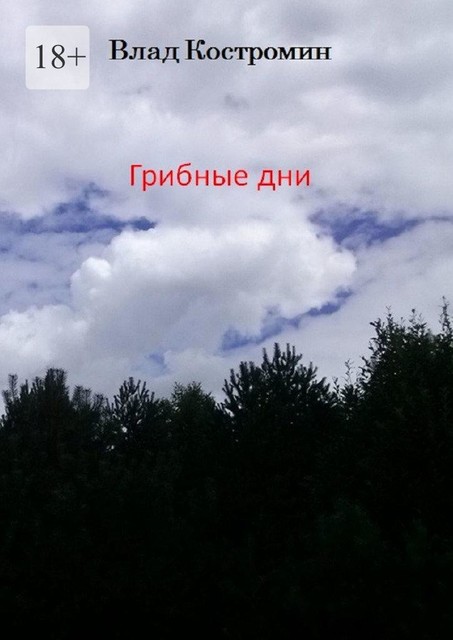 Грибные дни, Влад Костромин