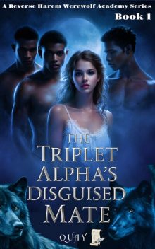 The Triplet Alpha's Disguised Mate, Quay