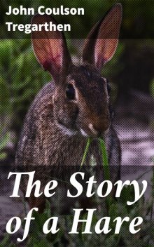 The Story of a Hare, John Tregarthen