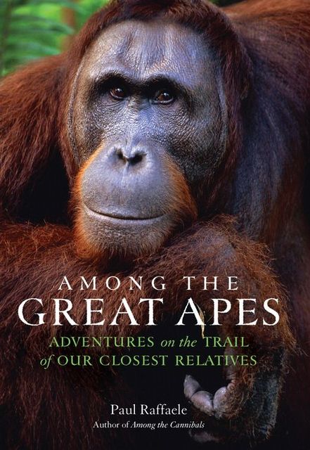 Among the Great Apes, Paul Raffaele