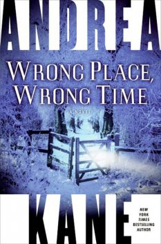 Wrong Place, Wrong Time, Andrea Kane