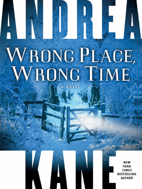 Wrong Place, Wrong Time, Andrea Kane