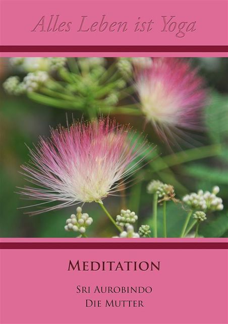 Meditation, Sri Aurobindo, Die Mutter