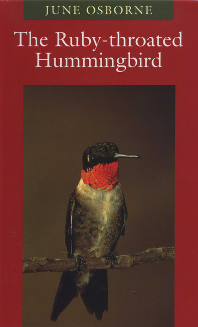 The Ruby-throated Hummingbird, June Osborne