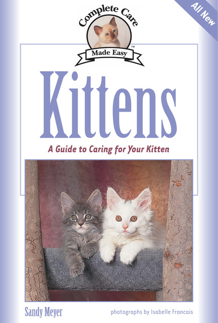 Kittens, Sandy Meyer