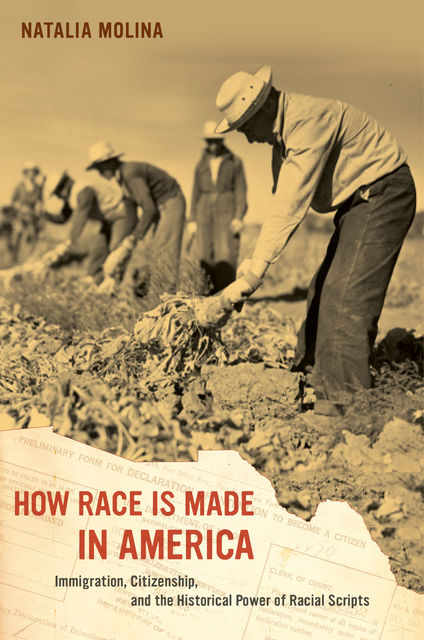 How Race Is Made in America, Natalia Molina
