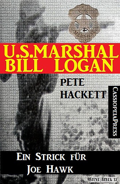 U.S. Marshal Bill Logan, Band 22: Ein Strick für Joe Hawk, Pete Hackett