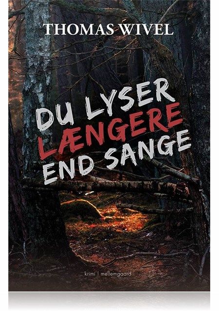 DU LYSER LÆNGERE END SANGE, Thomas Wivel