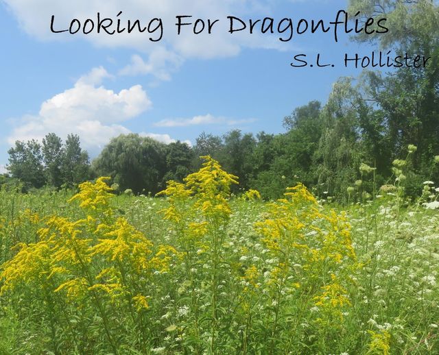Looking For Dragonflies, S.L. Hollister